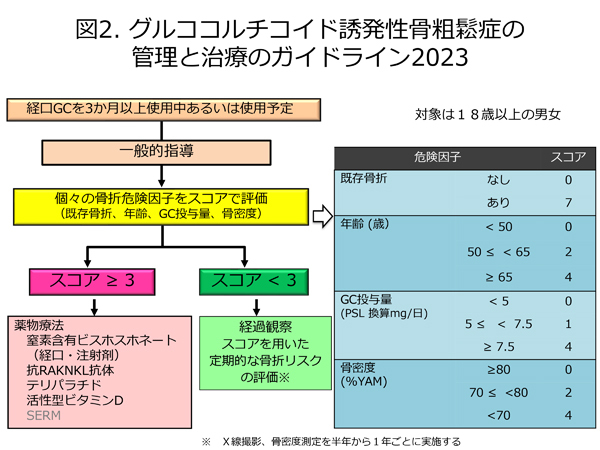 ステロイド性骨粗鬆症の管理と治療ガイドライン